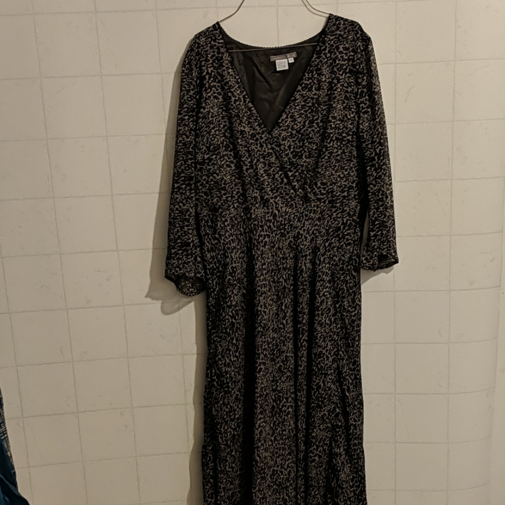 4for$25 Anthropology Isabella Bird